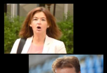 V Združenju novinarjev in publicistov obsojajo politični napad na novinarja dr. Jožeta Možino. Se bo Fajonova javno opravičila?