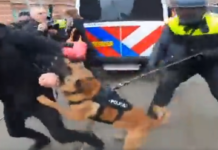 (Video) Nizozemska policija neizprosno nad izgrednike