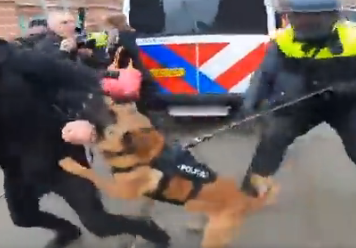 (Video) Nizozemska policija neizprosno nad izgrednike