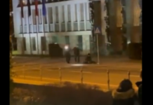 (Video) Incident pred državnim zborom: Oborožena ženska skušala vstopiti v stavbo