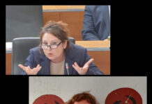 Le kako si Nataša Sukič predstavlja svobodo medijev?