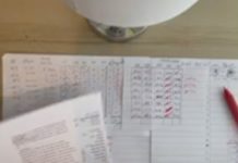 (Video) Poglejte kako je ustavni pravnik v samo treh urah izračunal mandate, za kar DVK potrebuje “nekaj sto ljudi in nekaj mesecev”