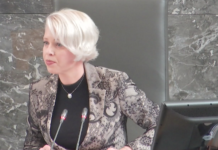 Vlada z hudo kršitvijo vladavine prava priznala Palestino