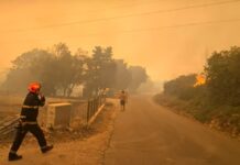 (Video) Grozljivi posnetki požara v Pulju