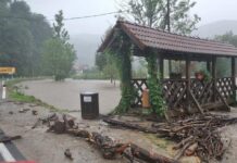 Leva politika in nevladne organizacije zrušile zakon, ki bi preprečil takšno katastrofo