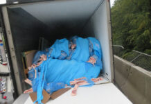 (Foto) Osupnili boste: To je razlog, da je bila včeraj štajerska avtocesta zaprta več kot 12 ur