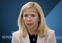 Notranja ministrica Tatjana Bobnar napovedala odstop, den izmed glavnih krivcev naj bi bil Damir Črnčec