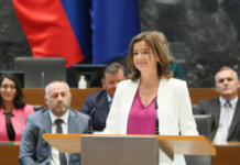 SDS zahteva sklic skupne nujne seje zaradi plačil Ministrstva za zunanje in evropske zadeve Centru za mednarodno sodelovanje in razvoj