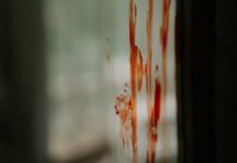 Grozljiva tragedija v Škofji Loki, po neuradnih podatkih naj bi mladoletnik zabodel svojo mamo