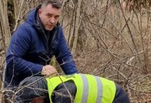Danes ponovno prišlo do nasilja na trasi Kanala C0, v ponedeljek sledi protest pred mestno hišo! #foto