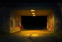 V nedeljo kar dva ropa v Ljubljani