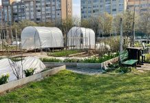 Prva letošnja vrtičkarska delavnica na Ježici