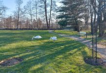 Festival športa v Ljubljani: Vikend aktivnosti v parku Tivoli