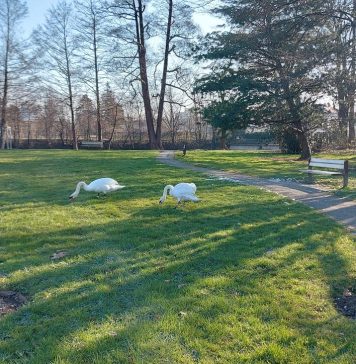 Festival športa v Ljubljani: Vikend aktivnosti v parku Tivoli