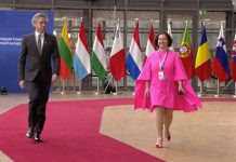 Kdo je ona in zakaj je tako čudovita? Golob ostal neopažen!