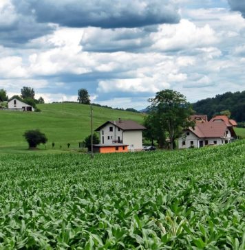 Modrikasti jezik ogroža slovensko kmetijstvo: SDS zahteva ukrepanje