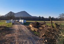 Se ob kanalu C0, poleg kup nepravilnosti, dogaja tudi kraja? #foto