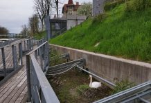 Labodi pričakujejo naraščaj, ne vznemirjajmo jih