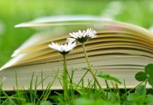 V parku Zvezda knjižni Sejem na zraku