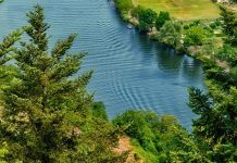 SDS predlaga zakon za zaščito zemljišč lovskih in ribiških družin