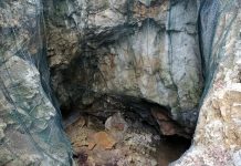 Vlada razkrila svoj genialni načrt: Kdo potrebuje zdravstvo, ko pa lahko brišemo zgodovino?