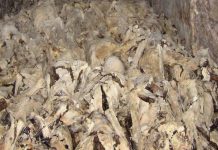 Platforma evropskega spomina in vesti je globoko užaloščena nad ukinitvijo Dneva spomina na žrtve komunizma v Sloveniji