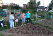 Nova sezona vrtičkarskih delavnic je tu!