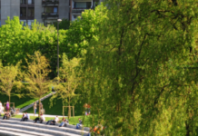 Ste že glasovali za svojega favorita? #foto