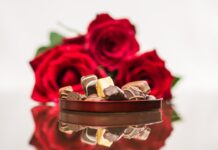 Dr. Milan Zver: Iskrene čestitke ob Dnevu žena