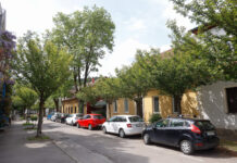 Izbran drevored leta 2023