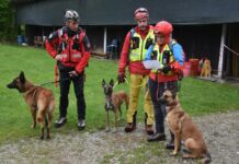 Mednarodna vaja vodnikov reševalnih psov #foto