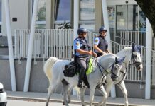 Policija izvaja pospešen in poostren nadzor v Kočevju in Ribnici