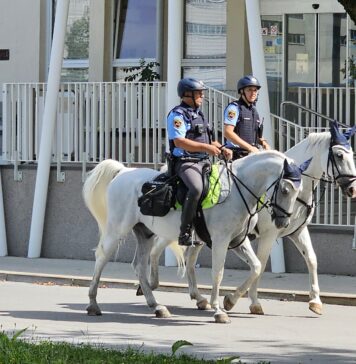 Policija izvaja pospešen in poostren nadzor v Kočevju in Ribnici