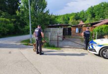 Poslanska skupina SDS podala pobudo za ustanovitev Pododbora za spremljanje romske tematike