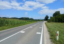 Ste opazili »zmajeve zobe« na cesti?