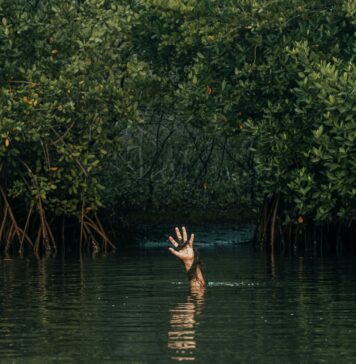10. september: Svetovni dan preprečevanja samomorov