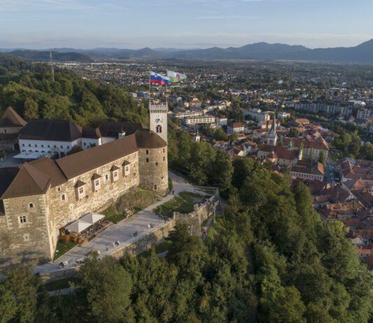 Sežigalnica v Ljubljani: Janković razmišlja o posvetovalnem referendumu