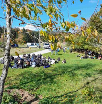 Prijeli večjo skupino ilegalnih migrantov