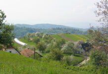 Prvič v Ljubljani: “Teden slovenske hrane”