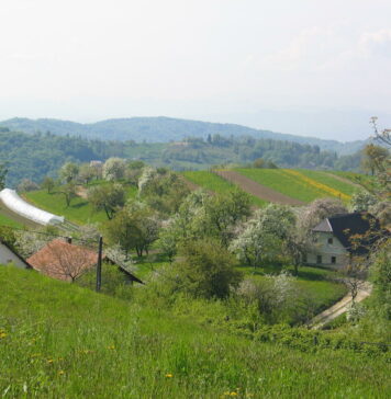 Prvič v Ljubljani: “Teden slovenske hrane”