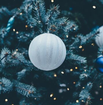 Tragedija na Viču: Božično drevo v plamenih, ena oseba hudo poškodovana!