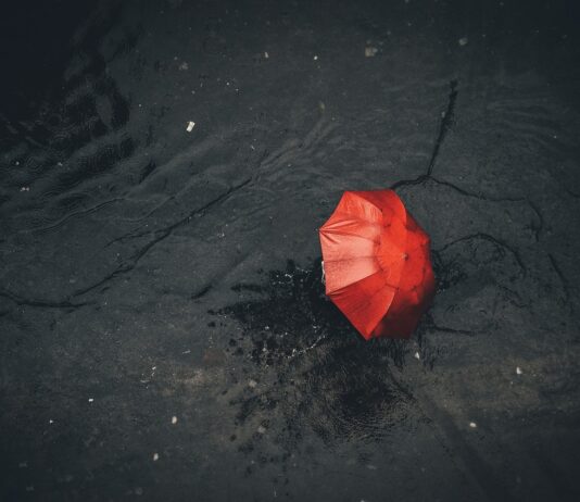 Naraščanje vodotokov: Prihajajo opozorila za zahodno Slovenijo