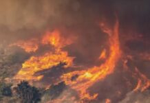 Ognjena katastrofa se nadaljuje: Tudi Hollywoodske ikone brez domov!