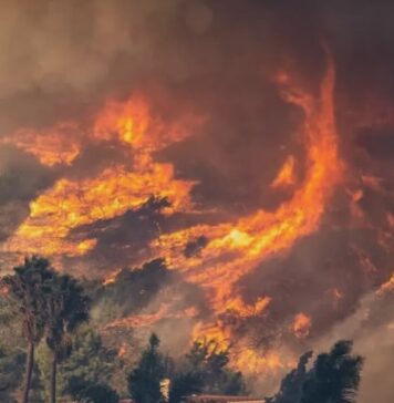 Ognjena katastrofa se nadaljuje: Tudi Hollywoodske ikone brez domov!