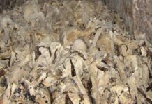 Odbor za peticije ponovno obravnaval vprašanje spomina na žrtve komunizma v Sloveniji