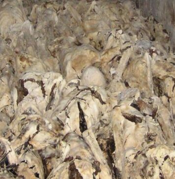 Odbor za peticije ponovno obravnaval vprašanje spomina na žrtve komunizma v Sloveniji