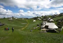 Velika planina: Neuradno našli truplo pilota