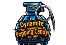 Nevaren kanabinoid v sladkarijah: Ljubljanski primer zastrupitve najstnika opozarja na tveganja