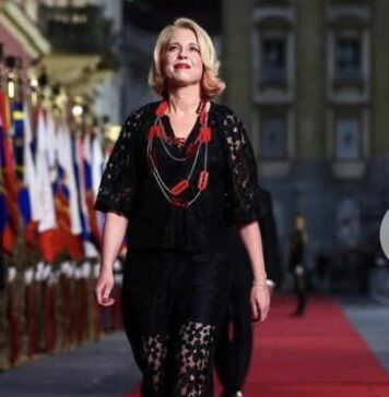 Urška Klakočar Zupančič: Provokacija ali sporočilo ob dnevu državnosti?