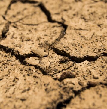 Izjemne sušne razmere v Ljubljanski kotlini: Najbolj suh junij v zgodovini?